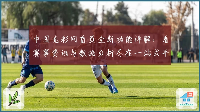 中国竞彩网首页全新功能详解，看赛事资讯与数据分析尽在一站式平台