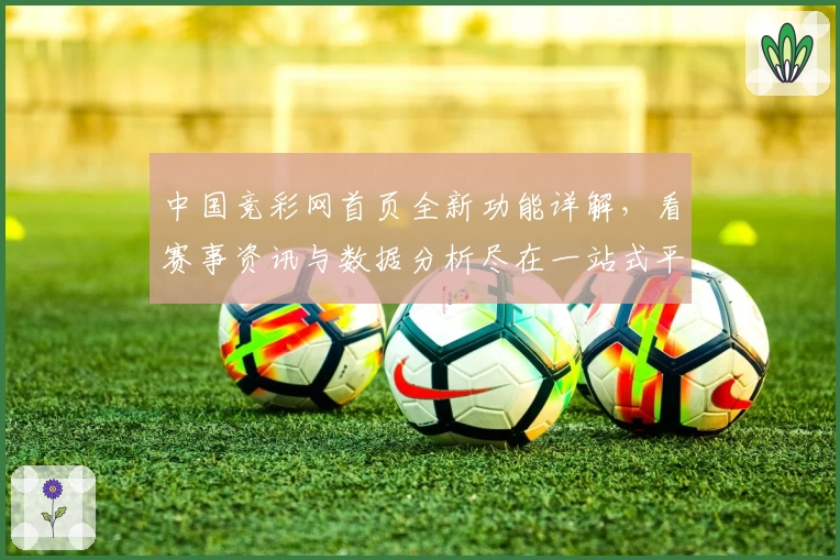 中国竞彩网首页全新功能详解,看赛事资讯与数据分析尽在一站式平台